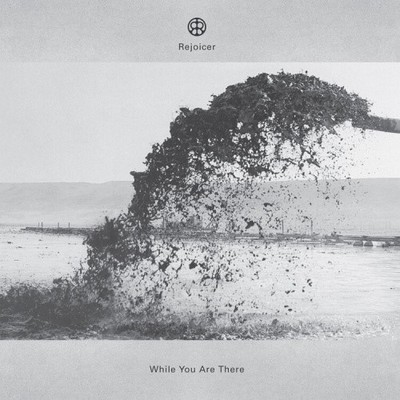 WHILE YOU ARE THERE (2LP)