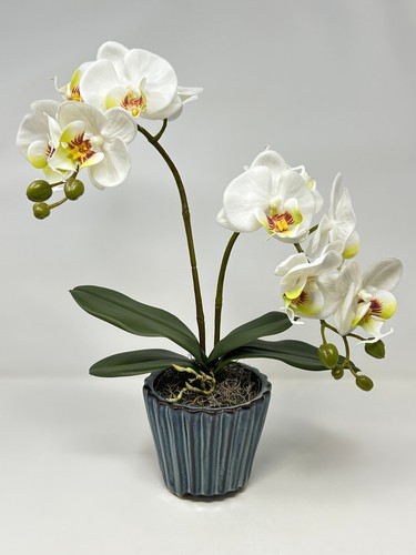 Pianta di fiori in seta 16" due BIANCHI Phalaenopsis ORCHID, 4" vaso con piedi in ceramica blu - Foto 3 di 8
