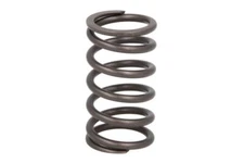 Valve spring IPD PARTS 1906117-IPD