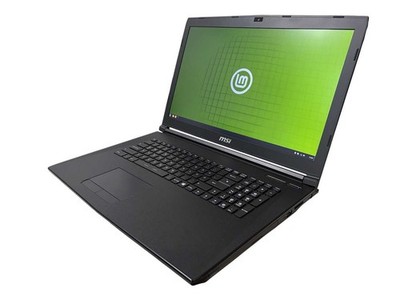 MSI 17 Zoll Laptop, mit DVD Laufwerk, GL72, i7, 32GB RAM, 1TB SSD, Linux Mint OS