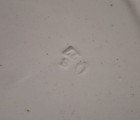 Bild 15 von 24