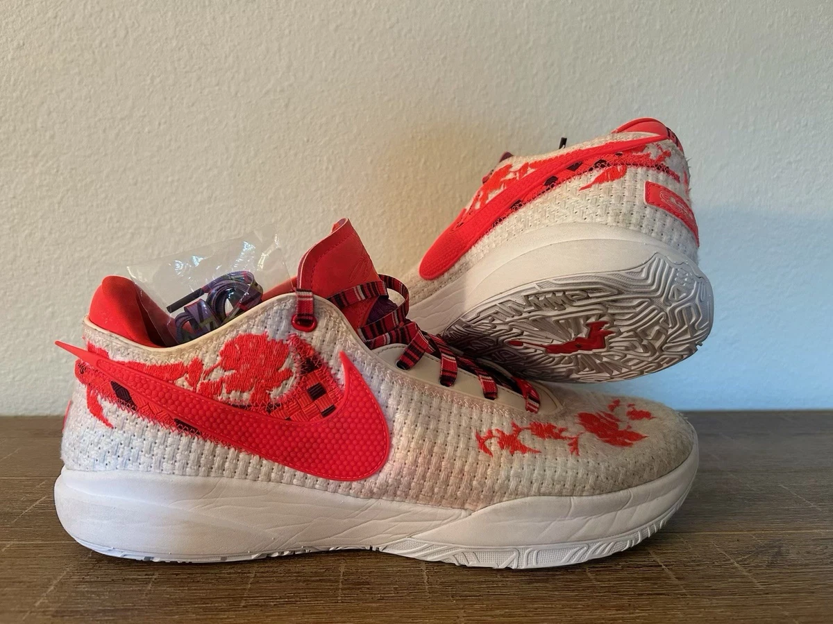 Mimi Plange x Nike LeBron 20 Premium EP Ceremony for Sale