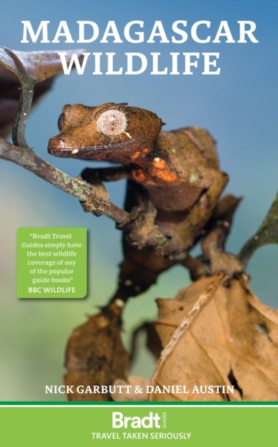 Madagascar Wildlife by Daniel Austin (Paperback Book)