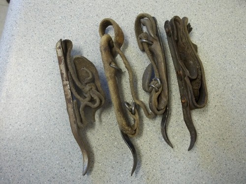 Antico mais huskers shucker gancio in metallo con cinghie in pelle misura palmo dito - Foto 10 di 11