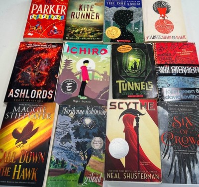 12 YA Acclaimed Paperback Novels for Boys, NYTimes Bestsellers-Young Adult