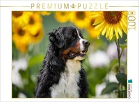 Calvendo Puzzle Sunflower Time | 1000 Pieces, Finished Size 25.2 × 18.9 In (64 ×