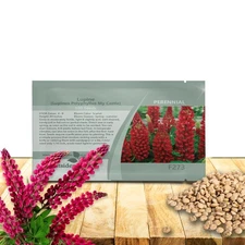1000 Seeds Red Lupine Seed For Planting Outdoors - Lupinus Polyphyllus My