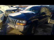 Passenger Right Tail Light Thru 8/18/02 Fits 02-03 GRAND CHEROKEE 162032