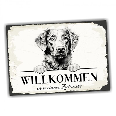 Hundeschild Willkommen Zuhause Chesapeake Bay Retriever No.1 Dog Schild Spruch T