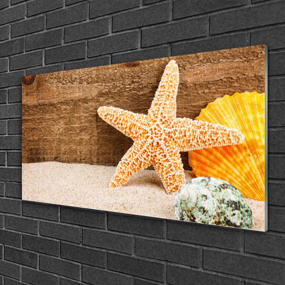 Tableau sur verre acrylique de luxe motif coquillages et étoiles de mer art mural 100x50