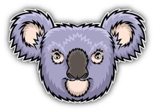 Funny Koala Face Car Bumper Sticker Decal - ''SIZES''