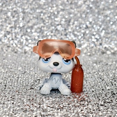 Littlest Pet Shop Authentic LPS #210 Black/White Sitting Husky Blue Eyes