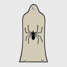 GUITAR TRUSS ROD COVER - Engraved Etched - Fits EPIPHONE EPI - SPIDER CREAM
