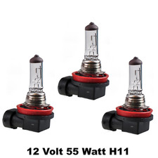 3 Stück 12V 55W H11 PGJ19-2 Halogen Glühlampe Autolampe Glühbirne Lampe    T8w