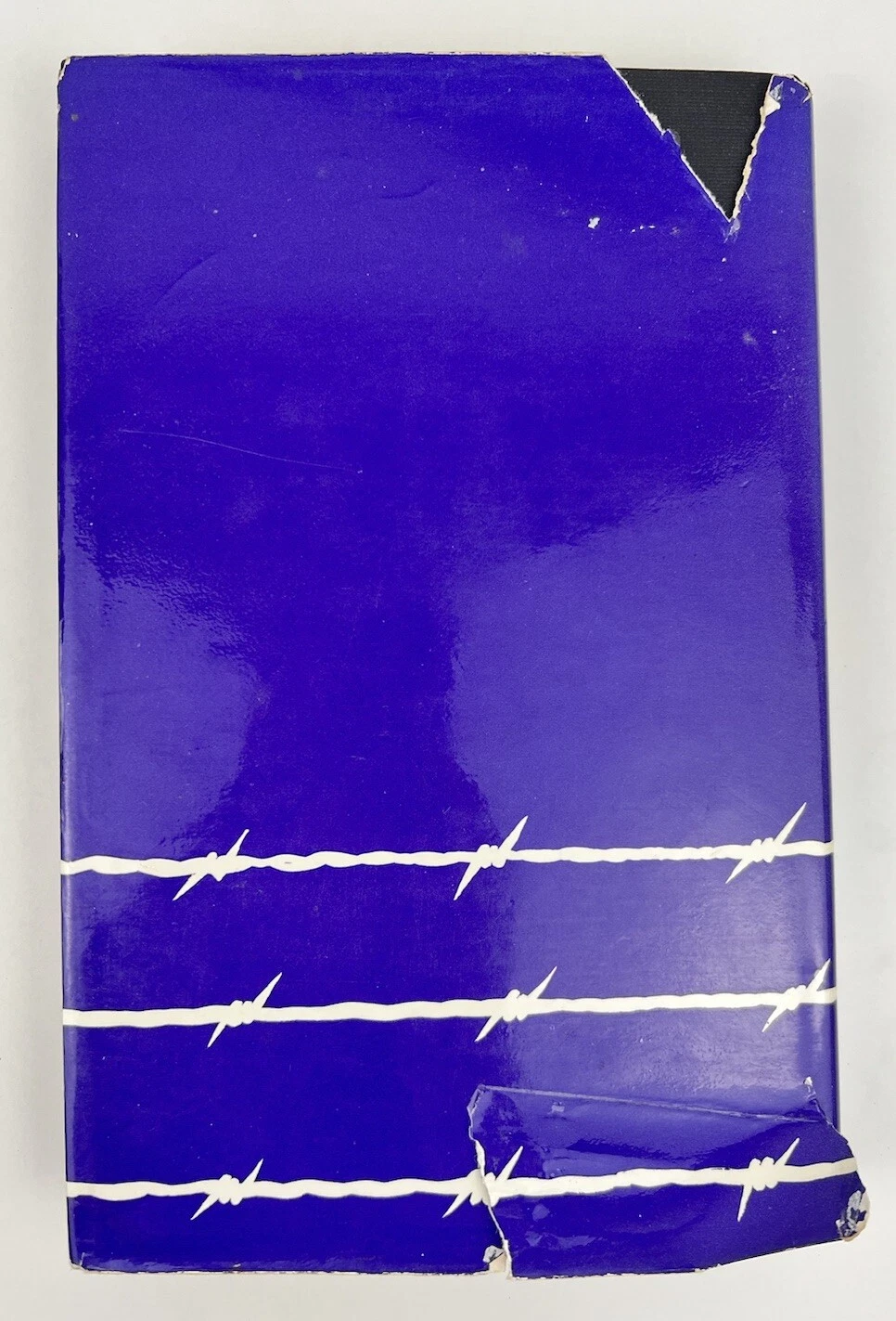 Picture 6 of 17