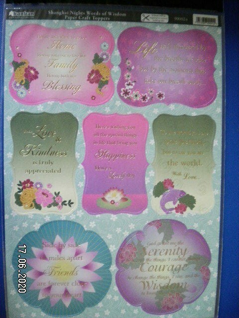 Beautiful Kanban Die Cut Toppers. 'Shanghai Nights Words of Wisdom'  (216) M