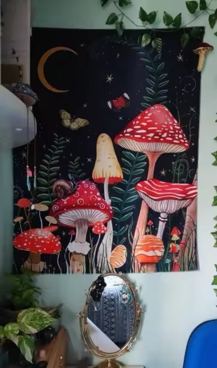 Picture 2 of 5
