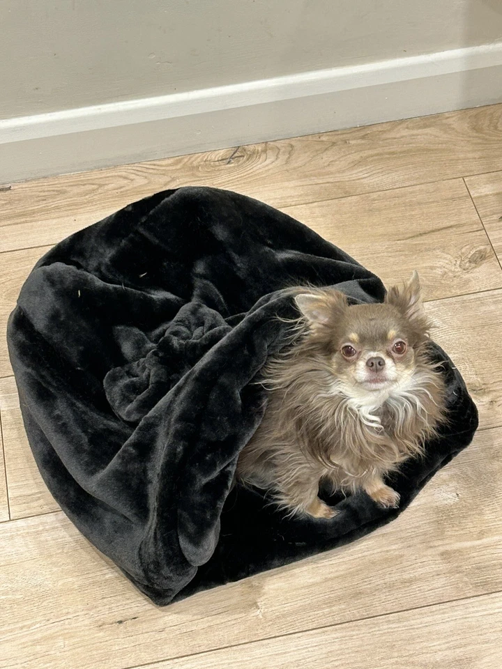 SACO ACURRUCADO DE LUJO CHIHUAHUA MASCOTA CACHORRO CAMA MASCOTAS DE DISEÑO Foto 4 de 4