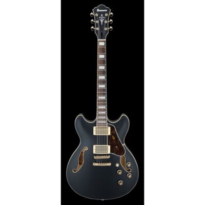 IBANEZ AS73G-Black Flat (B-Stock)