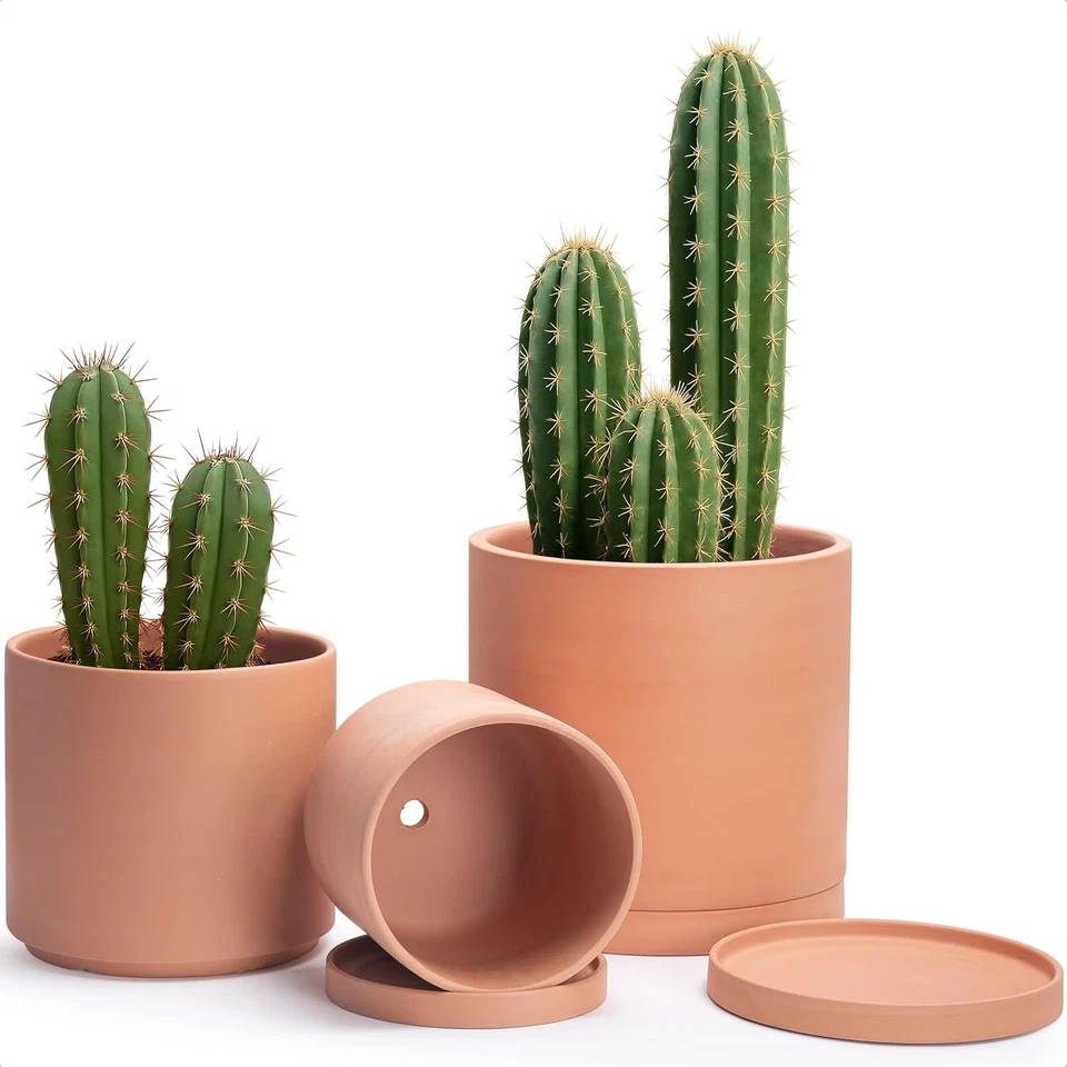 Elegant Handcrafted Terracotta Pots - Modern Cylindrical Planters for Indoor Use - Image 3 of 4