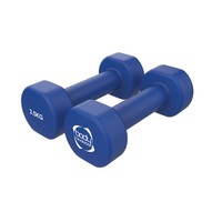 Body Revolution 2 x 2.5KG Neoprene dumbbells