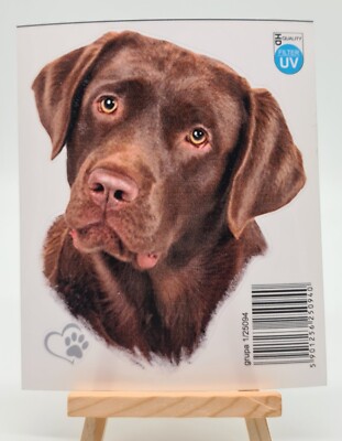 Aufkleber Sticker Hund Labrador HD Quality UV Filter 12X14,5CM PKW KFZ LKW Hunde