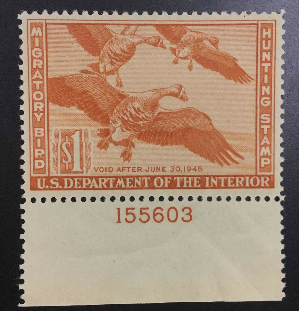 ミントページ MOMEN: US STAMPS #311 MINT OG H VF/XF LOT #71832 | eBay
