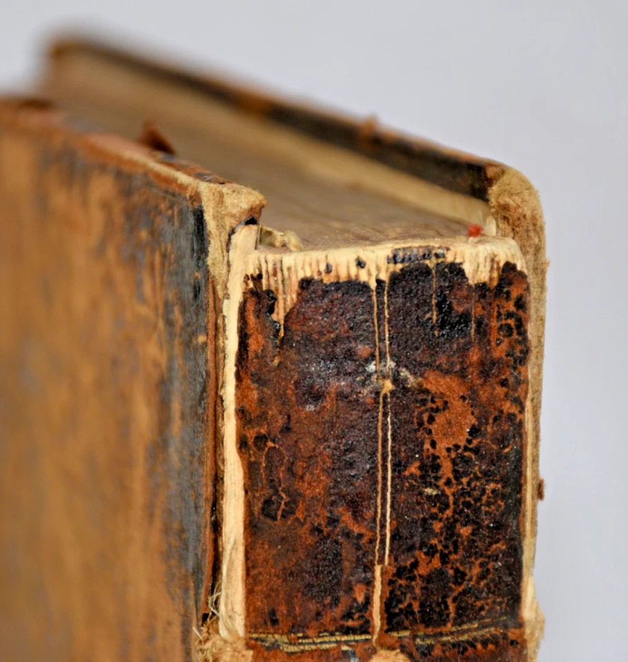 1758 History of the Life and Reign of Philip King of Mace 1st Edit Leland Vol II - Image 4 of 4