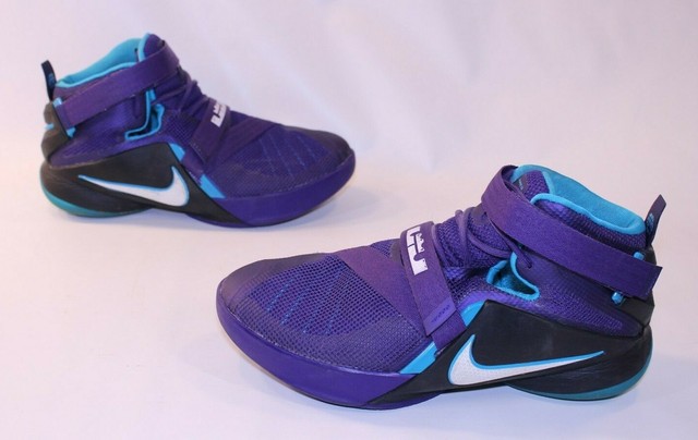 lebron charlotte hornets shoes
