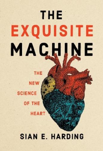 Sian E. Harding The Exquisite Machine (Tascabile)