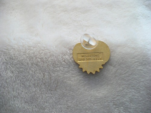NB- BENTON FRANKLIN FAIR HORSE HEAVEN ROUNDUP PIN #21410 (NICE ENAMEL) - Picture 6 of 7