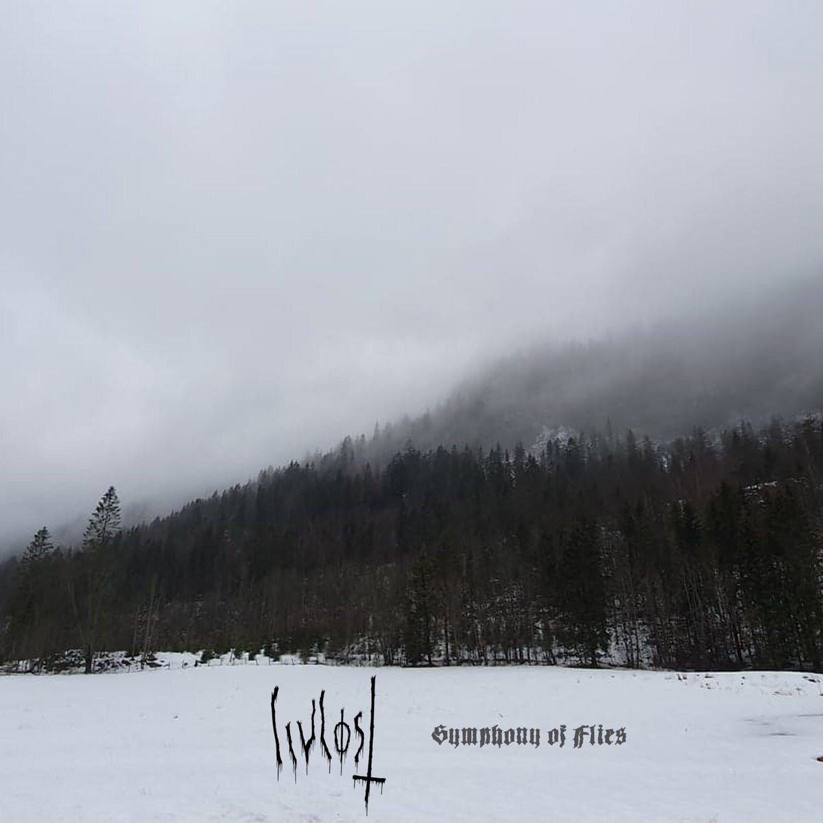 Альбом Livlost Symphony of Lies (винил) 12 (ИМПОРТИРОВАН из Великобритании)