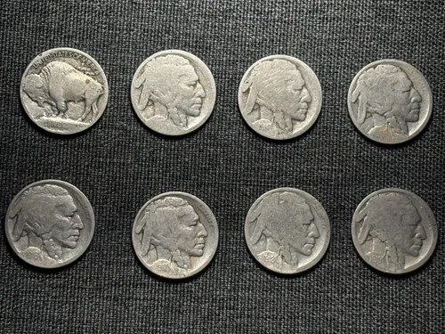 8 Early Buffalo Nickels - Teens 1913 to 1919 - Good Dates Carefully Restored