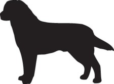 Custom Labrador Silhouette Vinyl Decal - Personalized Dog Sticker - 9057