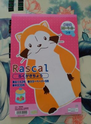 Mapache Rascal LIBRETA ARAIGUMA RASCAL THE RACOON EL MAPACHE | eBay