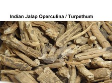 Jalap Operculina Turpethum Nishoth Trivrit Turpeth Stem Whole 500gm 17.63 OZ 