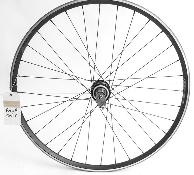 eccentric rear hub