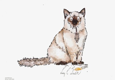 Lustige Stoffpuppe Katze Kätzchen Illustration Kunstdruck signiert Limited Edition