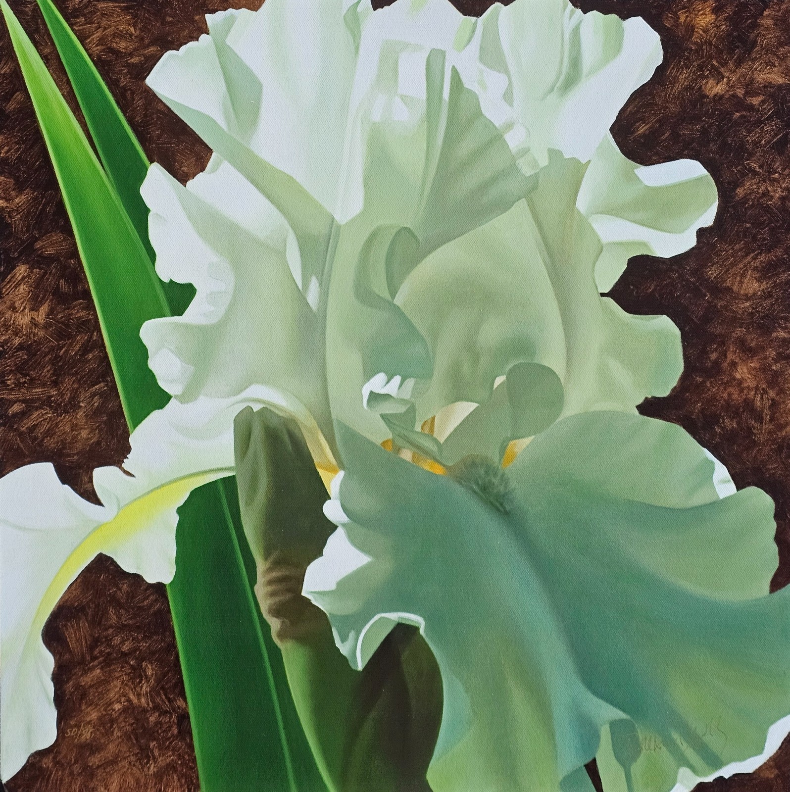 BRIAN DAVIS Solitary White Iris flower HAND SIGNED 50/95 art on Canvas US Artist