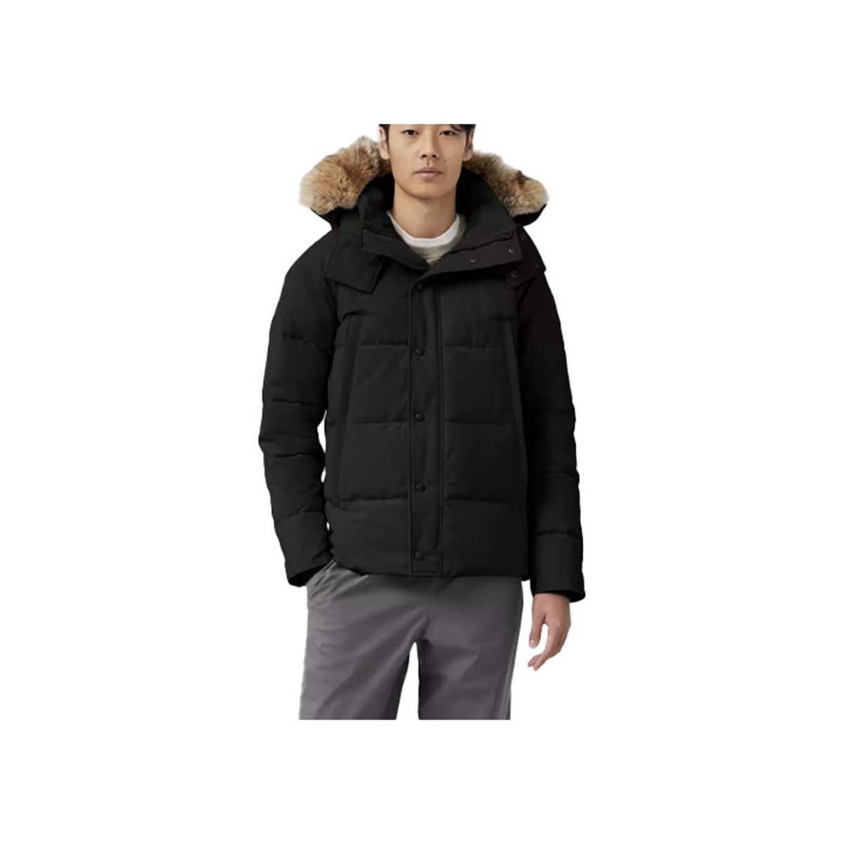$1650 Canada Goose Men WYNDHAM PARKA HERITAGE COYOTE FUR Coat