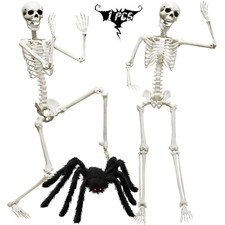 5.4ft/165cm Halloween Skeleton, Life Size Skeleton With Hairy Spider Pumpkin ...