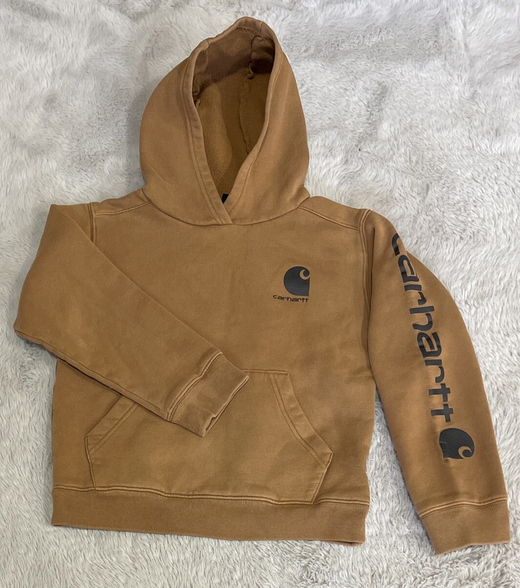 Carhartt Hooded Sweatshirt Brown Long-Sleeve Graphic CA6272 Boys