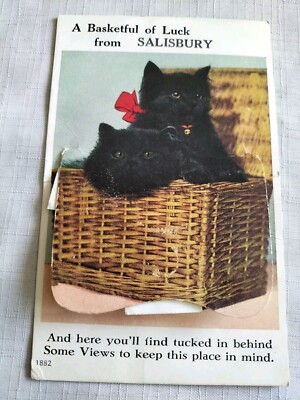 Salisbury Postkarte Valentinstag Neuheit Auszug Ein Korb voller Glück schwarze Katzen