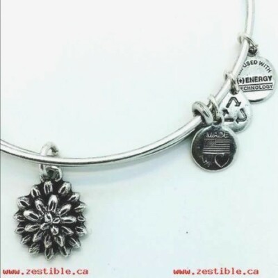 Alex and Ani Water Lily Sacred Garden Rafaelian Silver Bangle Bracelet NWT USA