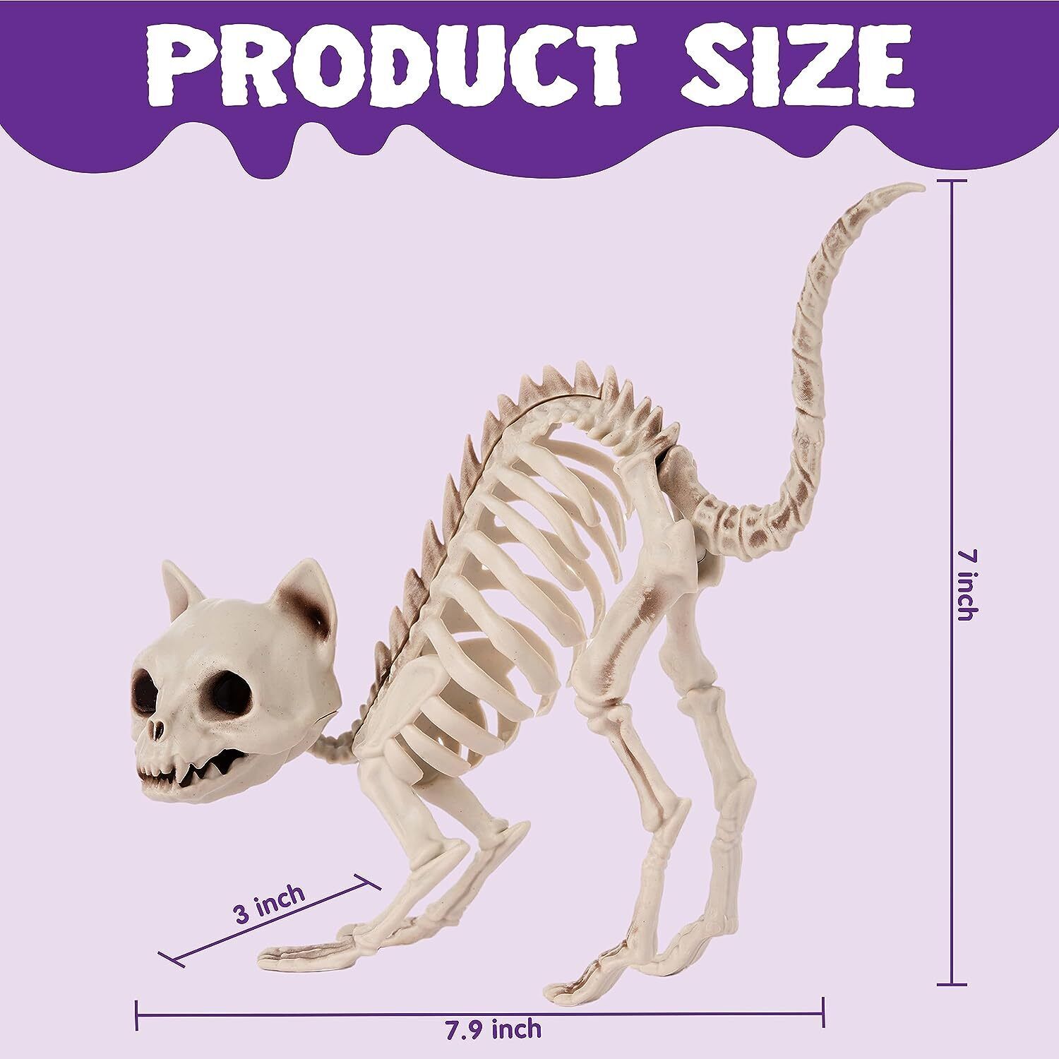 Keira the Cat Skeleton ~ $30