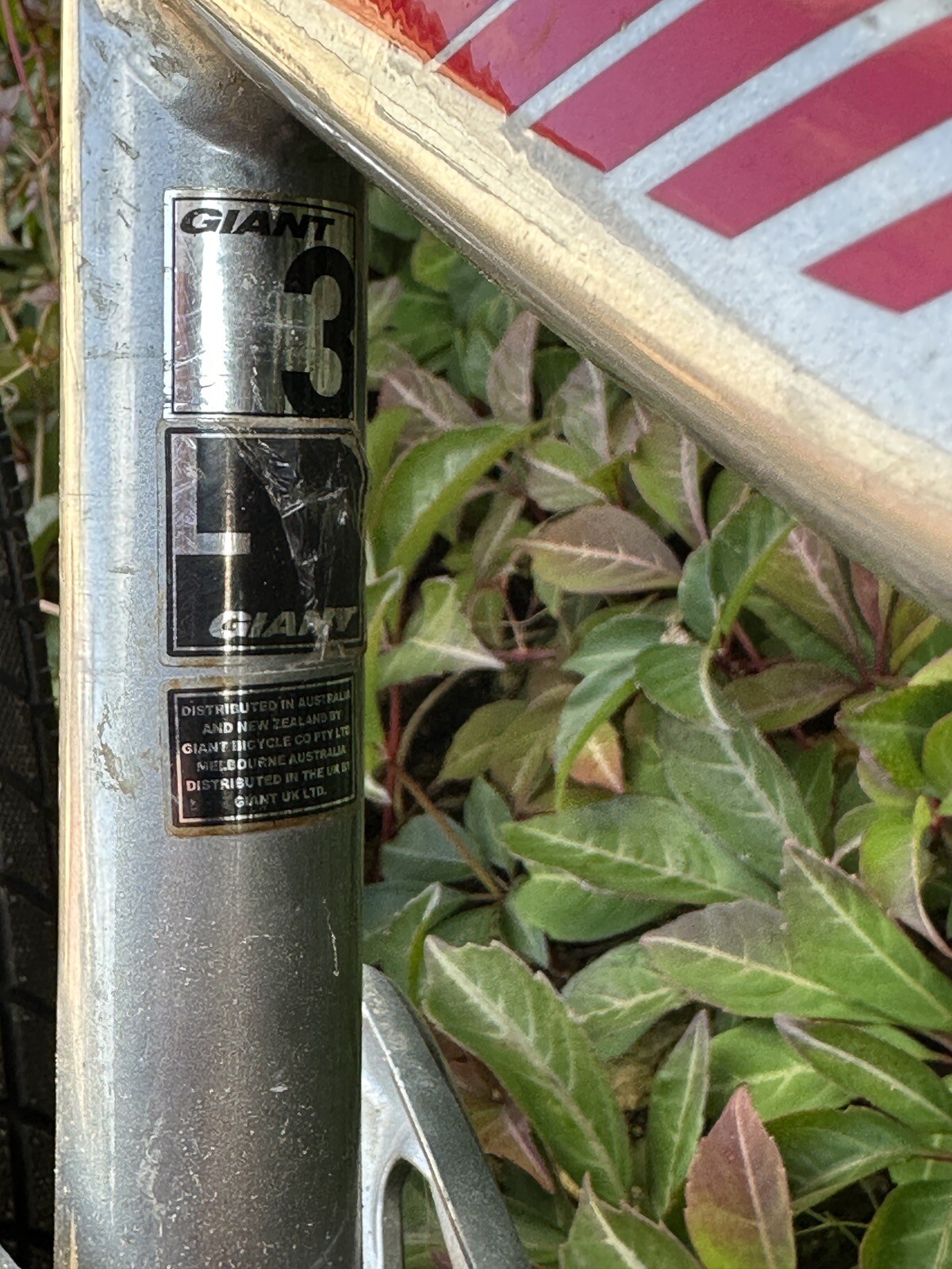 giant trance mountain bike for sale