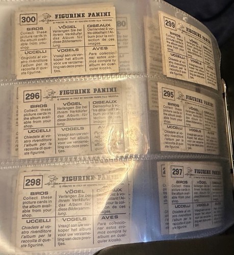 PANINI BIRDS : RARE COLLECTION OF LOOSE STICKERS 1-300 COMPLETE ALL IN VGC 1979 - Picture 10 of 10