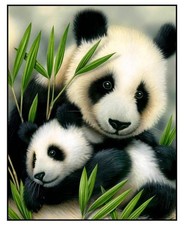 36" X 44" Panel Pandas Bamboo Giant Panda Baby Cub Mother Cotton Fabric D474.86
