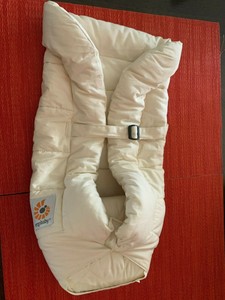 infant carrier insert