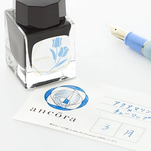 Pluma Estilográfica SAILOR Ancora Flor de Nacimiento y Piedra de Nacimiento Serie Enero-Diciembre Foto 3 de 4